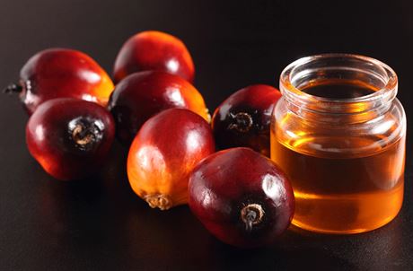 Palmový olej