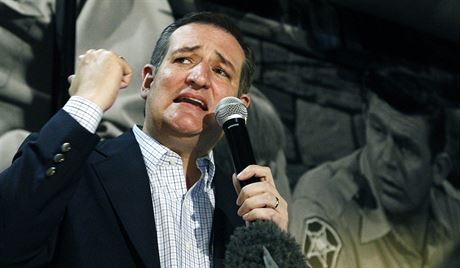 Ted Cruz, republikánský uchaze o nominaci v amerických prezidentských...