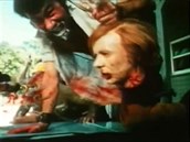 Luxusni domy florida rekreacni