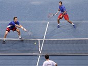 Tom Berdych (vlevo) a Radek tpnek bhem deblu v 1. kole Davis Cupu