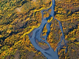 Letecký pohled na rozvtvený tok eky Eagle v kontrastu s podzimními barvami....