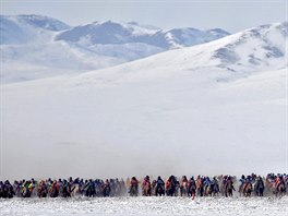 Jarního koského závodu v mongolském Tsagaan Khutul se minulou nedli...