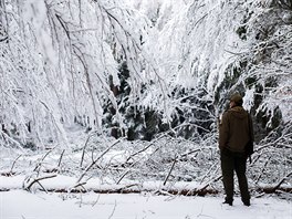 Píinou poruch byl pád zlámaných vtví a strom na elektrické vedení. Problémy...