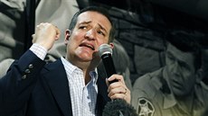Ted Cruz, republikánský uchazeč o nominaci v amerických prezidentských... Ted Cruz, republikánský uchazeč o nominaci v amerických prezidentských...