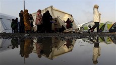 Benci ve stanovém táboe u ecké vesnice Idomeni (29. února 2016)