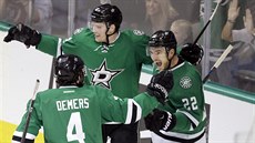 Radek Faksa (nahoře) slaví gól se spoluhráči z Dallasu. Radek Faksa (nahoře) slaví gól se spoluhráči z Dallasu.