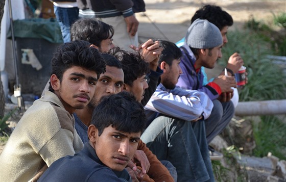 Migranti v táboe Afghanian Hills na Lesbu. (8. bezna 2016)