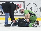 KONEC KARIRY? Kapitn hokejist David Vborn byl ve tvrtfinle proti Hradci...