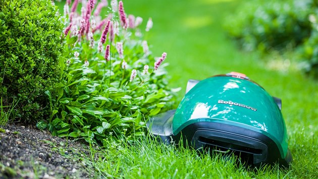 Robotick sekaky jezd podl pikolkovanho nebo zakopanho drtu na okraji trvnku.