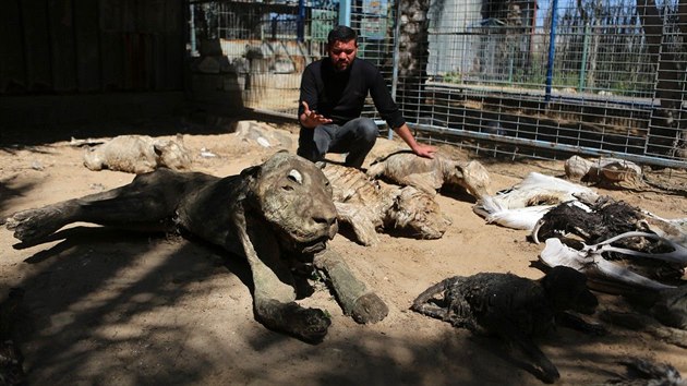 Tato zvata se majiteli zoo v Chn Jnis zachrnit nepodailo, pro ta zbvajc se jet sna udlat, co se d.