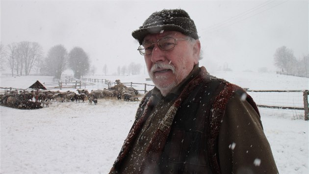 Karel Krecbach z Dolnho Adrpachu farma na Broumovsku pes dvacet let. Vlci mu od loskho podzimu zardousili pes padest ovc.