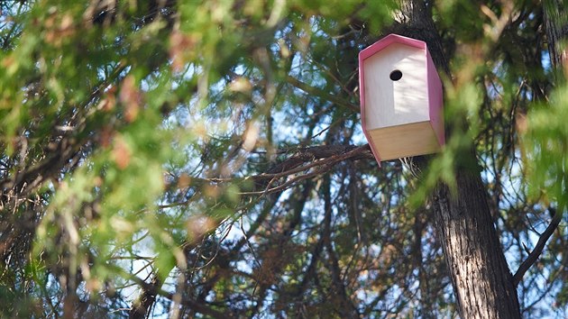 Apartmny prvnho hotelu pro ptactvo, kter nyn mete vidt v poadu Slow TV, jsou ji zaveny a ekaj na prvn hosty. Rov apartmn je umstn na jehlinat thuji (Thuja occidentalis). 