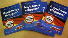 Letáky AfD na pedvolebním mítinku v Bitterfeldu v Sasku-Anhaltsku (29. února...