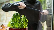 Podle průzkumu zloději většinou volí okna nebo terasy ze zahrady, kde mají čas... Podle průzkumu zloději většinou volí okna nebo terasy ze zahrady, kde mají čas...