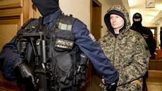 Policisté vedou Pavla rytra k soud pro Prahu-Východ, který by ml rozhodnout o...