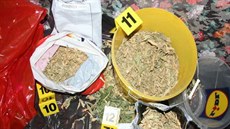 Rozsáhlý policejní zákrok na Chebsku proti drogám. (17. 3. 2016)