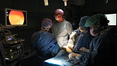 Na gynekologicko-porodnickém oddělení jihlavské nemocnice operují pomocí nové... Na gynekologicko-porodnickém oddělení jihlavské nemocnice operují pomocí nové...