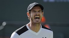 Andy Murray na turnaji v Indian Wells