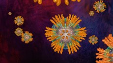 Virus hepatitidy typu C Virus hepatitidy typu C