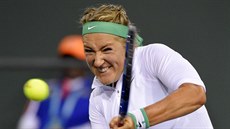 Victoria Azarenková v duelu s Karolínou Plíškovou. Victoria Azarenková v duelu s Karolínou Plíškovou.