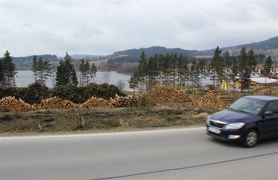 Na Lipn nad Vltavou u kácejí stromy kvli píprav stavby olympijského parku...