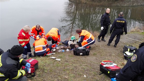 Mue, který v Olomouci spadl do eky, policisté se stráníky spolen vytáhli a...