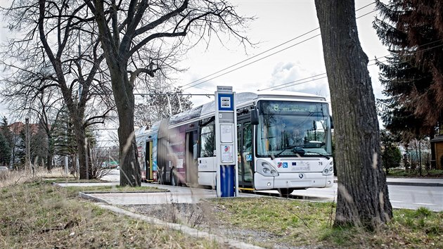 Ulic E. Roickho jezd v eskch Budjovicch jen linka 8. Ovodn tam pitom trasu modernizovali hlavn pro linku 1. Ta te jezd jinudy.