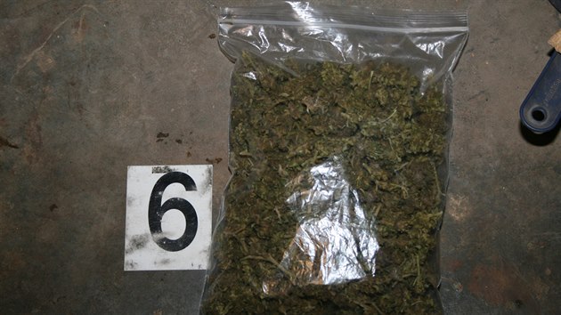 Policie od zatku bezna vyptrala 3 pstrny marihuany, vechny na Praze-Vchod. Jeden z pstitel na sebe policisty dokonce zavolal