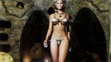 Modifikace pro Skyrim přinášejí řadu úprav. Některý například odhalenější těla... Modifikace pro Skyrim přinášejí řadu úprav. Některý například odhalenější těla...