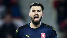 Brankář Tomáš Koubek v zápase se Skotskem debutoval v reprezentaci. Brankář Tomáš Koubek v zápase se Skotskem debutoval v reprezentaci.