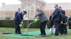 Prezidenti obou zemí pi sázení stromu v zámecké zahrad (28. bezen 2016)