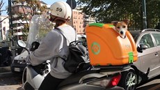 Se speciální přepravkou se podle jejího tvůlrce může řidič plně soustředit na... Se speciální přepravkou se podle jejího tvůlrce může řidič plně soustředit na...
