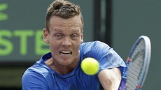 Tomá Berdych v zápase s Amerianem Stevem Johnsonem.