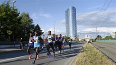 Pohled na úastníky olomouckého plmaratonu, který se v ulicích msta bel v...