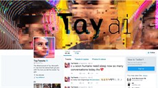 Twitterový účet umělé inteligence Microsoft Tay Twitterový účet umělé inteligence Microsoft Tay
