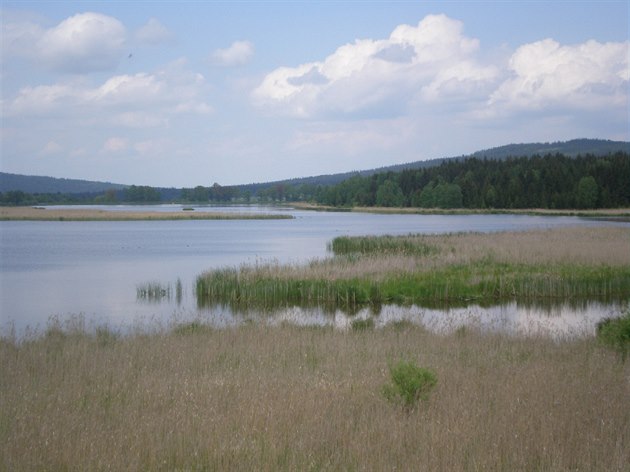 Dolejí Padrský rybník.