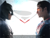 Batman v Superman Who Will Win