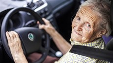 Seniorka, řízení auta Seniorka, řízení auta