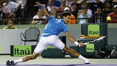 I TOHLE VRÁTÍM. Novak Djokovi ve tvrtfinále turnaje v Miami.