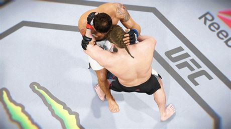 Ilustraní fotografie ze hry UFC 2