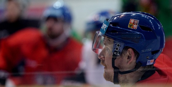 Roman ervenka na tréninku eské hokejové reprezentace v Ústí nad Labem.