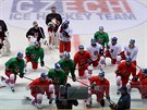 etí hokejisté na  tréninku v Ústí nad Labem.