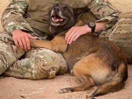 I psí vojáci musejí odpoívat.
