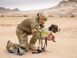 Formace 105 Military Working Dog Squadron psobila s britskými jednotkami...