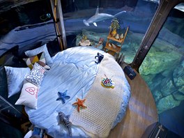 SPÁNEK: Pokoj nainstalovaný v paíském akváriu. Akvárium spolu s Airbnb...