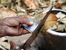 Runí výroba indických cigaret bidi