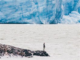 lovk a ledovec. Národní park Torres del Paine, Patagonie, Chile (bezen 2016).