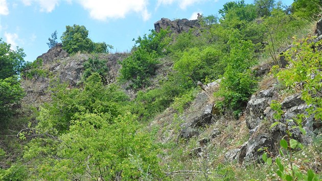 Skaln lesostep pod Ketkovskm hradem je stle jet velmi cenn. Mnostv ke a strom vzbru ale jasn ukazuje, e zarst.