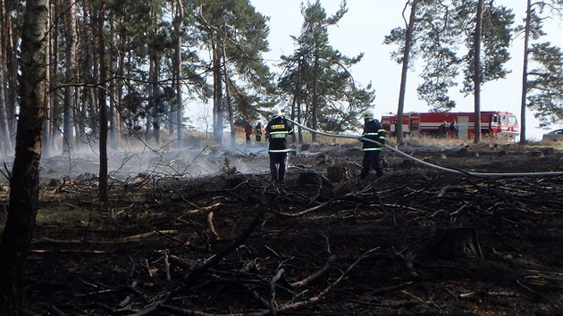 Por lesa po plen klest u Nalouan na Tebsku zamstnal hasie na nkolik hodin.