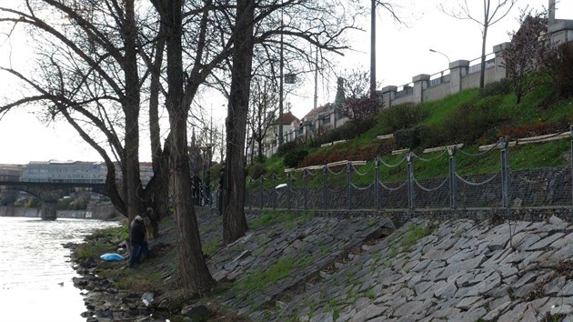 Ve Vltav nedaleko holeovick trnice bylo nalezeno tlo mue (6.4.2016).